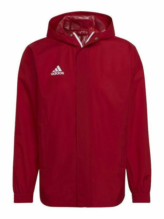 adidas Entrada 22 Geacă Sport Burgundia adidas Entrada 22 Geacă Sport Burgundia