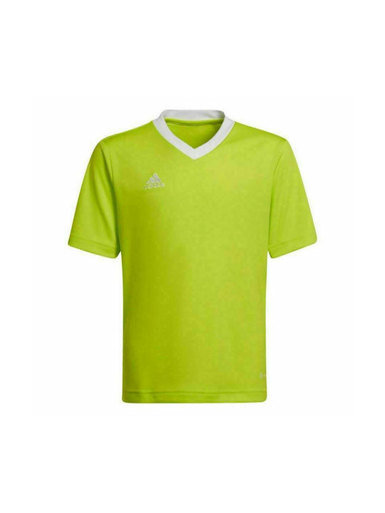 Adidas Kinder T-shirt Grün