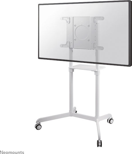 Neomounts NS-M1250 NS-M1250WHITE Стойка за телевизор Подов до 70" и 70кг Бял