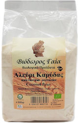 Viodoros Gaia Bio-Mehl Kokosnuss Glutenfrei 500g