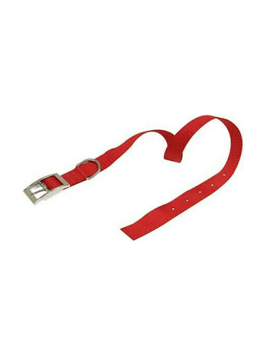 Croci Nylon Hundehalsband in Rot Farbe 16mm x 40cm