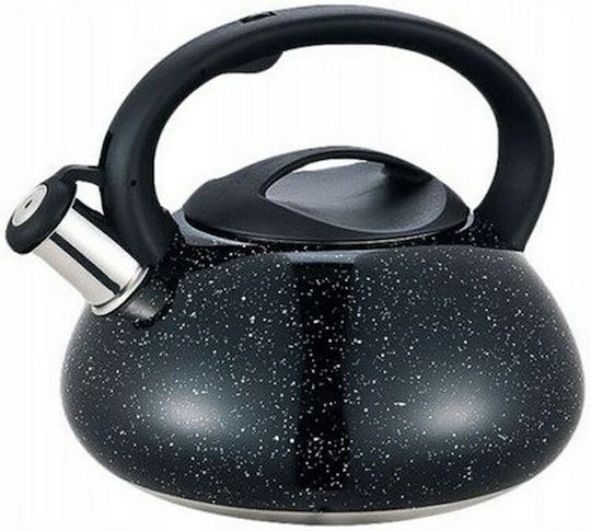 Maestro Βραστήρας Ανοξείδωτος 2500ml Maestro Βραστήρας Ανοξείδωτος 2500ml