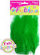 Fabi Green Craft Wing Set of 25pcs