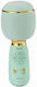 Wireless Karaoke Microphone WS-1885 Green