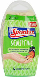 Spontex Latex Small