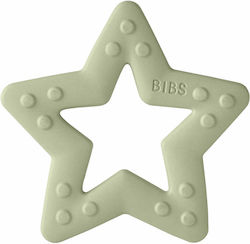 Bibs Μασητικός Κρίκος Οδοντοφυΐας για 2 m+