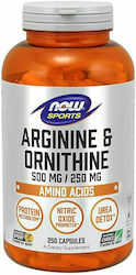 Now Foods Arginine & Ornithine 500mg / 250mg 250 φυτικές κάψουλες
