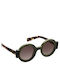 Kaleos Cappa Women's Sunglasses with 3 Plastic Frame and Brown Lens CAPPA 3