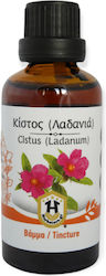 Herbstore Tincture Tincture Cistus (Ladania) 50ml