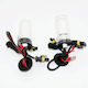 Lamps Car H7 Xenon 6000K Cold White 12V 55W 2pcs