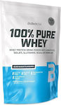 Biotech USA 100% Pure Whey with Concentrate, Isolate, Glutamine & BCAAs Πρωτεΐνη Ορού Γάλακτος Χωρίς Γλουτένη με Γεύση Black Biscuit 454gr