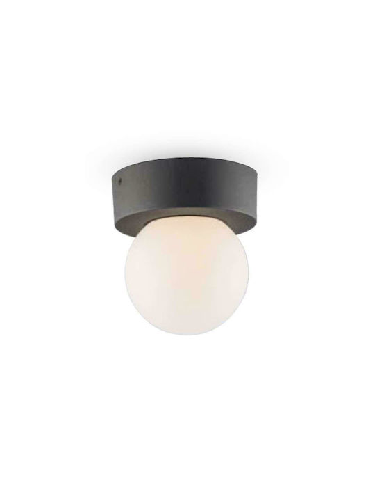 Fan Europe Skittle Classic Metallic Ceiling Mount Light with Socket E27 in Black color 15pcs