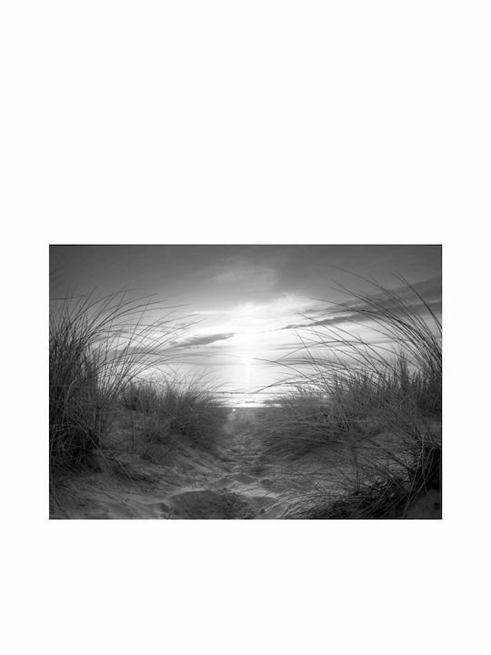 Fototapet de Perete 350x245cm Black White Tesatura Gri