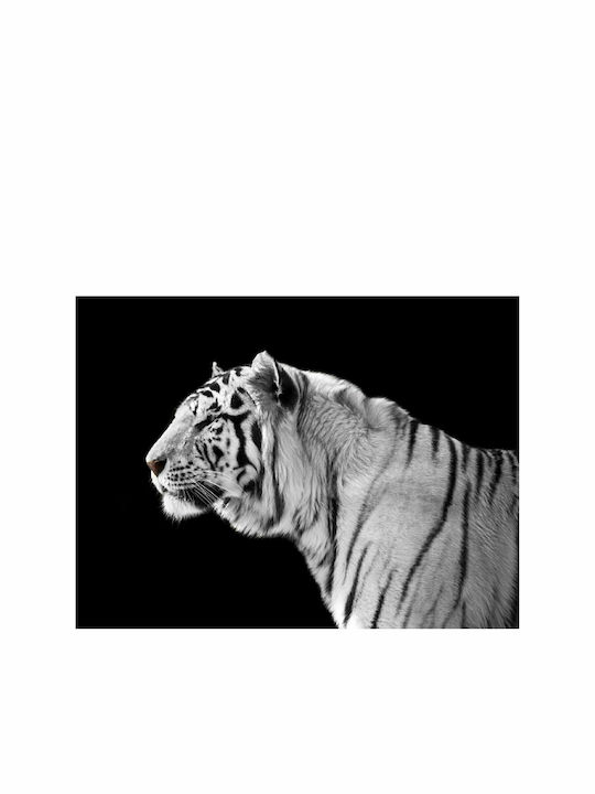 Fototapet de Perete 350x270cm White Tiger Tesatura Neagră