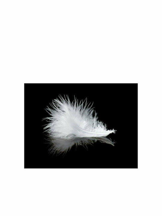 Fototapet de Perete 400x309cm White Feather Tesatura Neagră