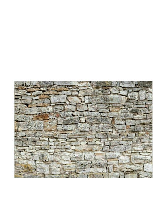 Autocolantă Fototapet de Perete 147x105cm Royal Wall Gri