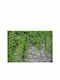 Fototapet de Perete 300x210cm Green Wall Tesatura Verde