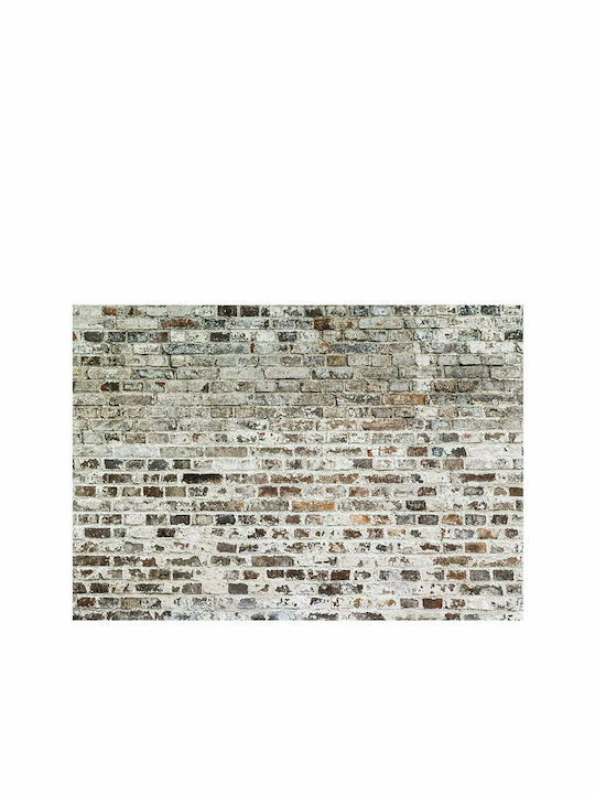 Fototapet de Perete 250x175cm Old Walls Tesatura