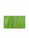 Fototapet de Perete 450x270cm Bamboo Wall Tesatura