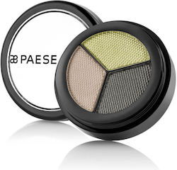 Paese Eye Shadow Palette in Solid Form