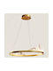 Eurolamp Pendant Light LED Suspension with Warm White Light Gold