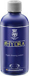 Labocosmetica Liquid Cleaning Plastic Sealant for Interior Plastics - Dashboard #HYDRA 500ml 1907LAB11