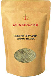 MPACHARADIKO Ginkgo Biloba 300gr 05573-300gr