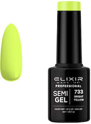 Elixir Semi Gel Semipermanent Lac de Unghii 733...