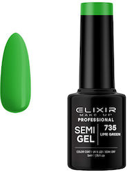 Elixir Semi Gel Semi-Permanent Nail Polish 735 ...