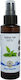 Herbstore Apă Florală Ceai Verde Spray 100ml