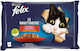 Felix Wet Cat Food for Junior Cats in Pouch with Beef and Chicken 85gr
