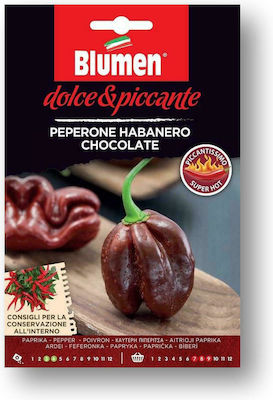 Blumen Πιπεράκι Καυτερό Habanero Chocolate Σπόροι Πιπεριάς