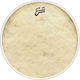 Evans EQ4 Calftone Batter Δέρμα κάσας για Κρουστά 20"