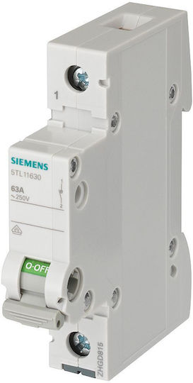 Siemens Еднополюсен Релсов превключвател 40Спецификация