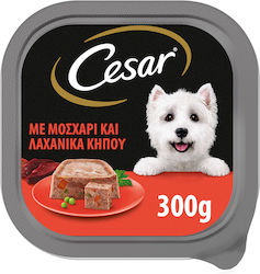 Cesar Wet Dog Food Tray with Vegetables and Calf 1 x 300gr