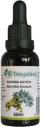 Biogalaxy Tinktur Tinktur Wermut 30ml Biogalaxy Tinktur Tinktur Wermut 30ml