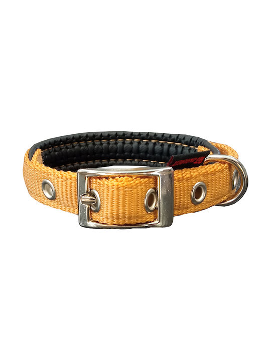 Pet Interest Neoprene Standard Κολάρο Σκύλου σε...