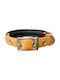 Pet Interest Neoprene Standard Κολάρο Σκύλου σε Χρυσό χρώμα Small 16mm x 40cm