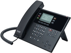 Auerswald COMfortel D-110 Verkabelt Schwarz