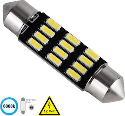 GloboStar Лампи Автомобила C5W LED 6000К Хладно...
