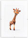 Donau Plastic Photo Frame with Transparent Border