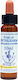 Healing Herbs Star of Bethlehem Ανθοΐαμα σε Σταγόνες για Χαλάρωση 10ml