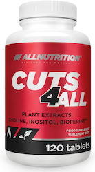 AllNutrition Cuts 4 All 120 Mützen