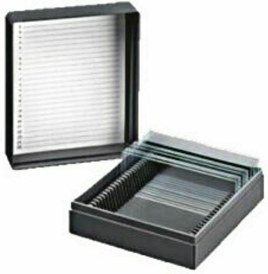 Soft Care Microscope Slide / Case 10 Positions