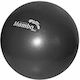 Mambo Max Mini Μπάλα Pilates 22cm σε Μαύρο Χρώμα