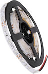 GloboStar Avila LED Strip Power Supply 12V with Green Light Length 5m and 60 LEDs per Meter SMD3528