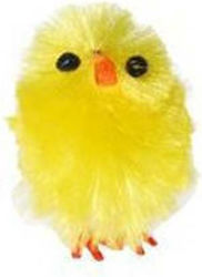 Next Easter Bird Plastic