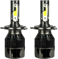 Carner Λάμπες H4 LED Ψυχρό Λευκό 2τμχ