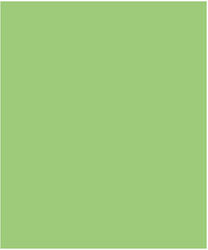 Groovy Canson-Karton 50x70cm. Grün Groovy Canson-Karton 50x70cm. Grün