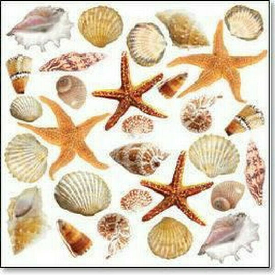Sospeso Trasparente Shells Papiere Decoupage